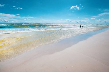 Dueodde, Danimarka, Bornholm 'ün güney sahilindeki beyaz kumlu plaj.