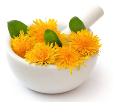 Beyaz zemin üzerinde havan ve tokmak ile tıbbi karahindiba