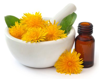 Tıbbi karahindiba ve beyaz arkaplan üzerinde havan ve tokmak özü