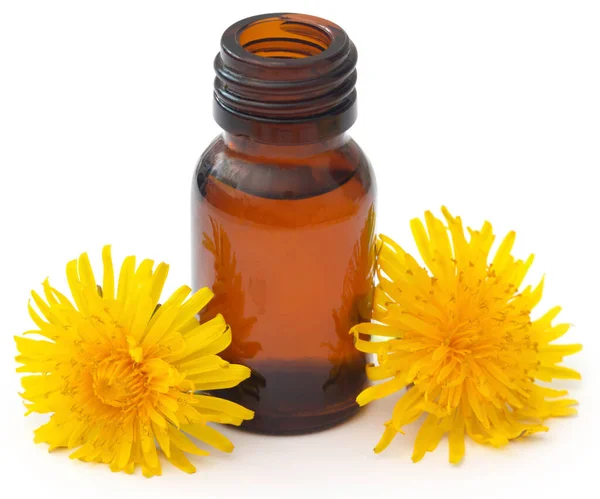 Medicinal Dandelion Extract Bottle — Stock Photo, Image