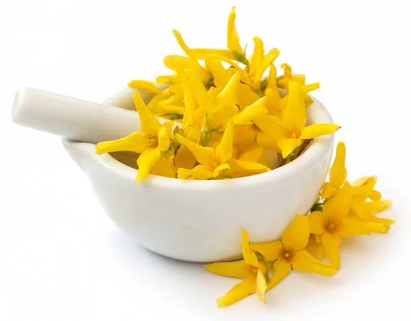 Flor Medicinal Forsythia Argamassa Com Pilão — Fotografia de Stock