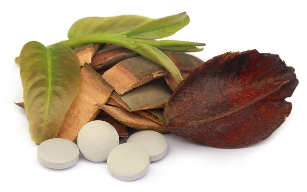 Medicinal Terminalia arjuna with pills — Stock Photo, Image