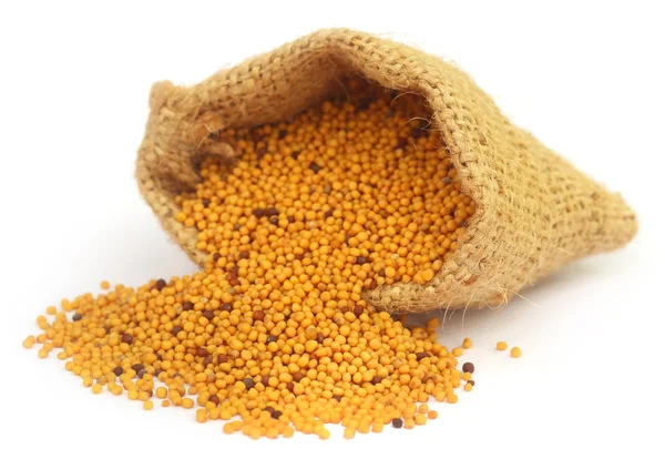 Golden Mustard in a sack bag — Stock Photo, Image