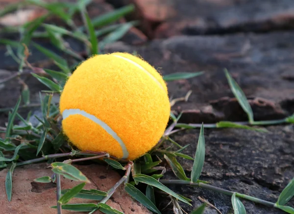 Pelota de tenis —  Fotos de Stock