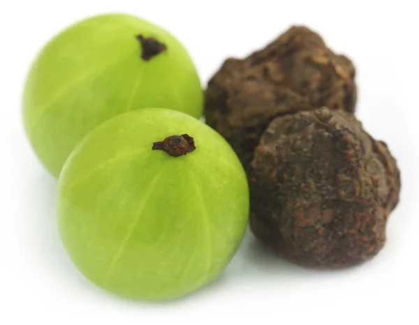 Amla fruits - dried and green — Stock Photo, Image