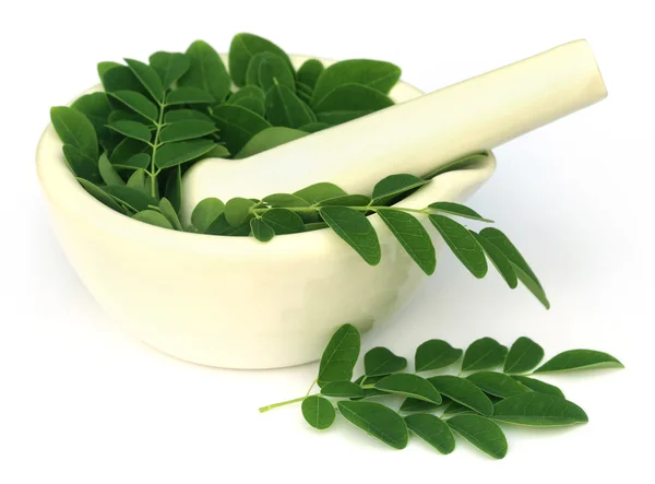 Moringa verlaat met mortier en een stamper — Stockfoto