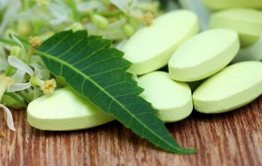 Tıbbi neem çiçek ve yaprakları yapılmış hapları