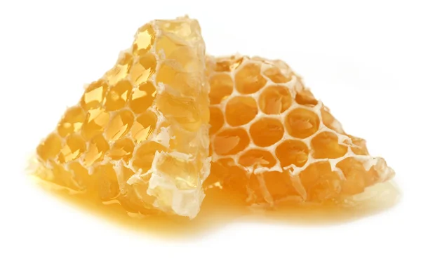 Honey combs — Stock Photo, Image