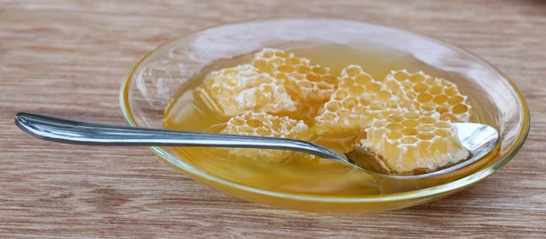 Peines de miel — Foto de Stock