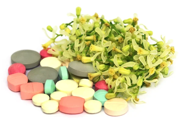 Pills made from medicinal neem flower and leaves — Stock Photo, Image