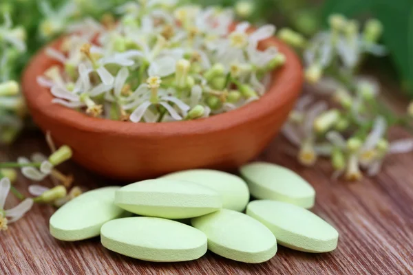 Pills made from medicinal neem flower and leaves — Stock Photo, Image