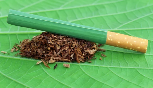 담배와 담배 잎 건조 — 스톡 사진