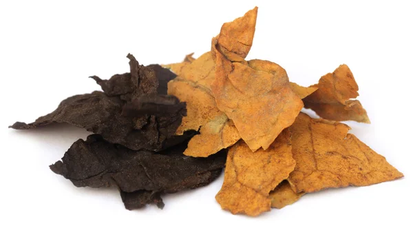 Dried tobacco leaves — Stock Photo, Image