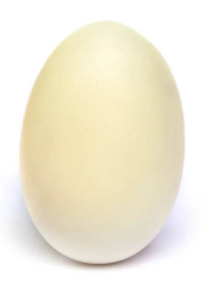 Uovo bianco — Foto Stock