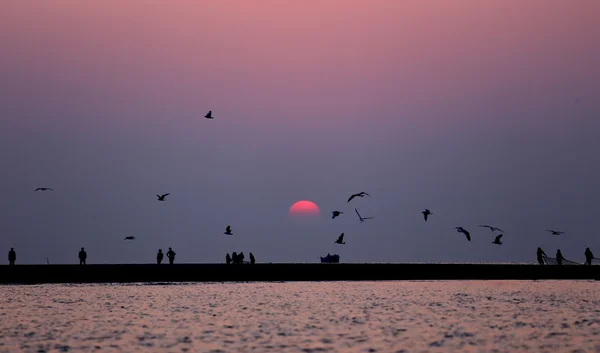 Kuakata, Bangladeş güneş doğarken — Stok fotoğraf