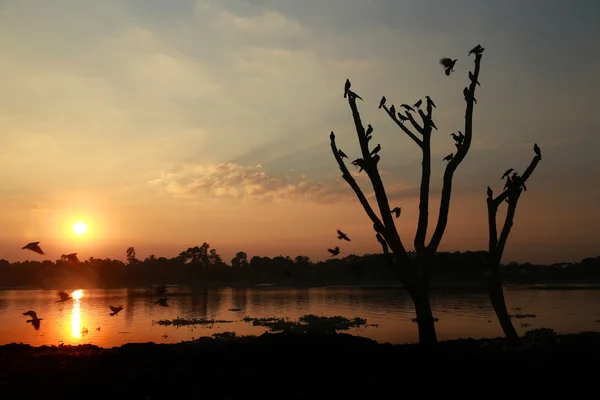 Sole che tramonta dietro un fiume — Foto Stock