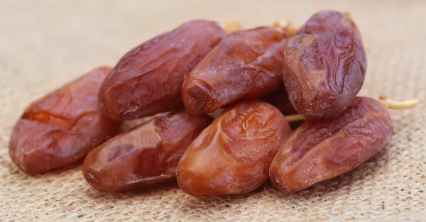 Dates arabes — Photo