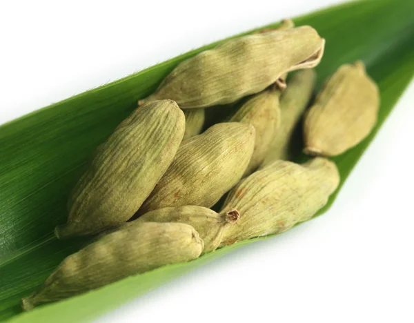 Cardamom seed on green leaf — Stock Photo, Image