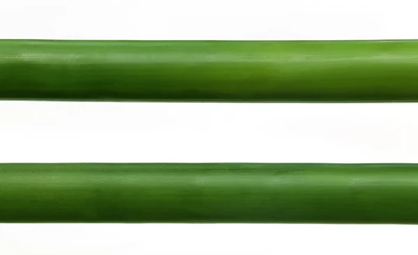 Green bamboo over white background — Stock Photo, Image