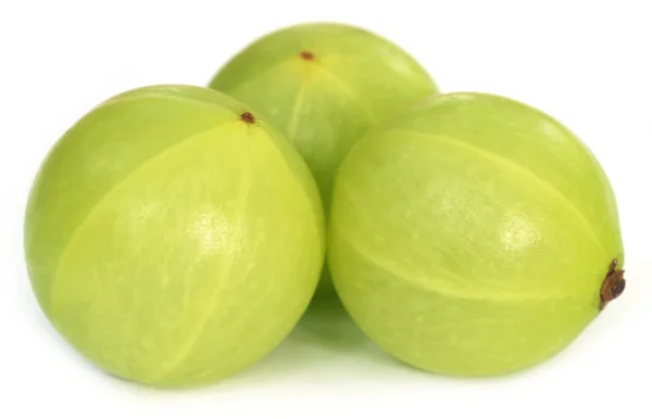 Fresh amla fruits — Stock Photo, Image