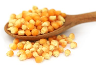 Kaşık ile mısır tohumları