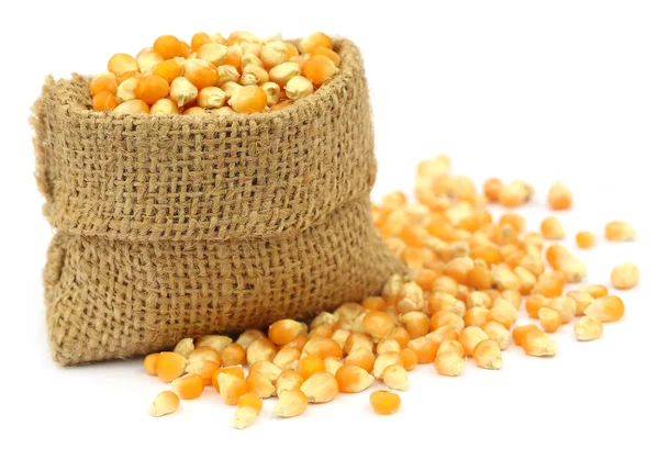 Corns in sack bag — Stock Photo, Image