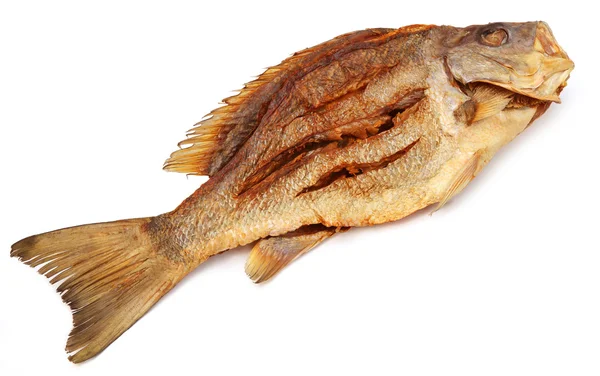 Dried Koral fish — Stock Photo, Image