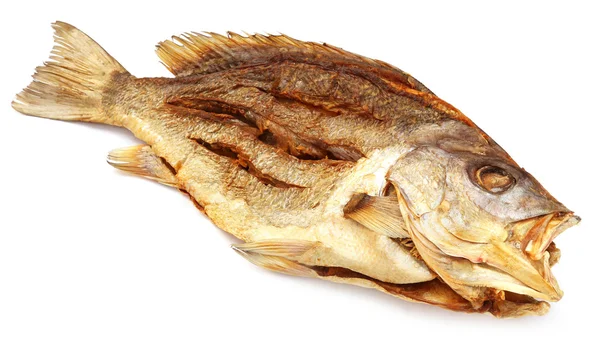 Tørket Koral fisk – stockfoto