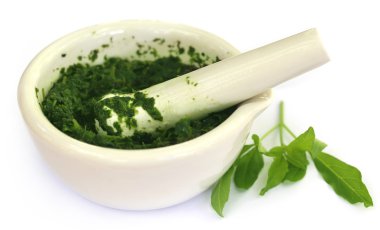 Vitex Negundo harcı ve havaneli