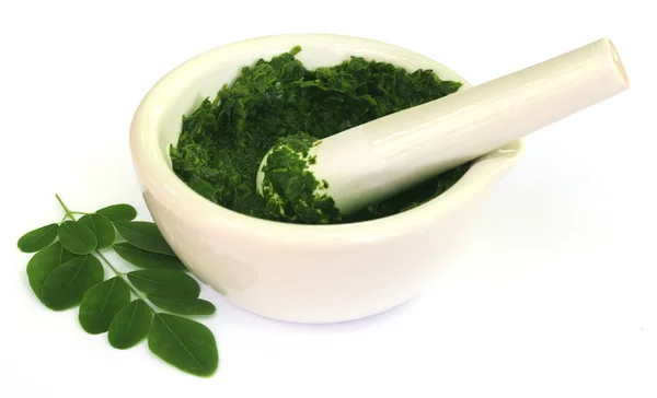 Moringa 잎 박격포와 유 봉 — 스톡 사진