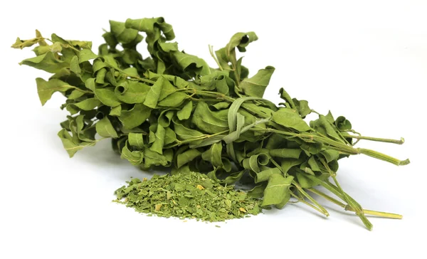 Hojas de moringa secas —  Fotos de Stock