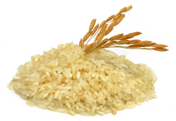 Pirinç ile altın çeltik tohumları — Stok fotoğraf
