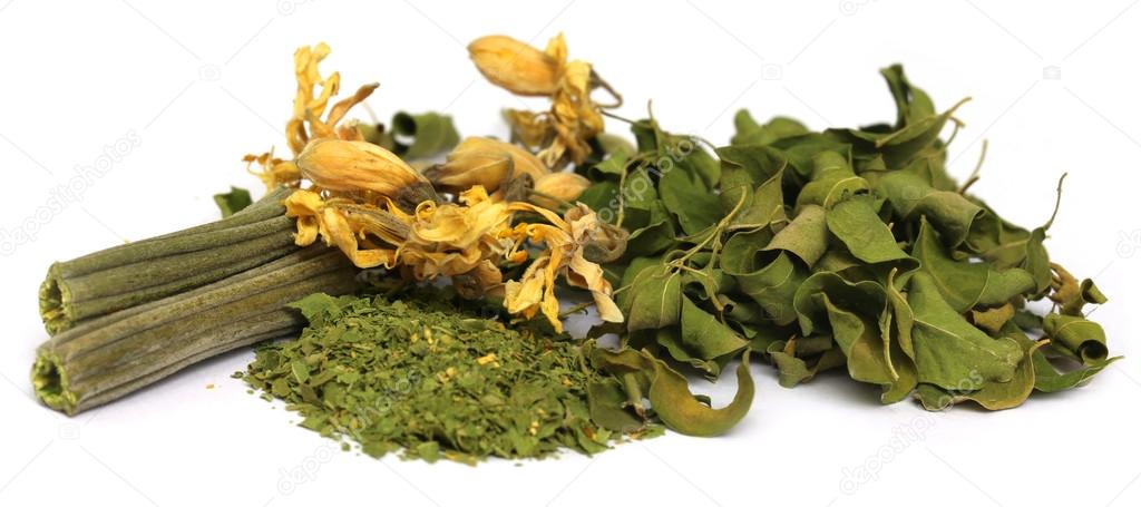 Dried moringa with leaves and flower