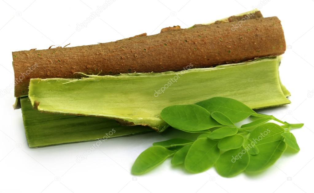 Moringa leaves and bark Stock Photo by ©bdspn74 65047097