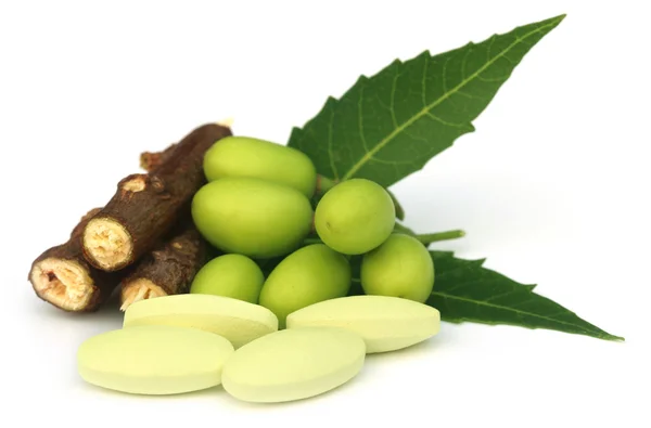 Medicinal neem fruits with tablets — Stock Photo, Image