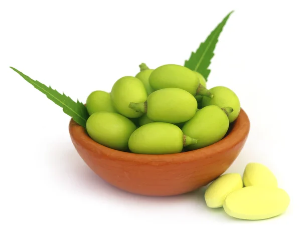 Frutas medicinales del neem con tabletas —  Fotos de Stock