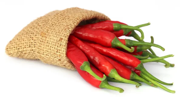 Rød chili-paprika – stockfoto