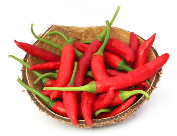 Red chili peppers in a coconut shell — Stock Photo, Image