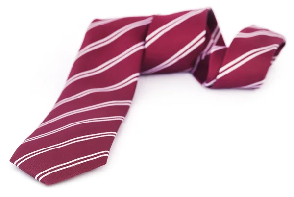 Bordo necktie on white — Stock Photo, Image