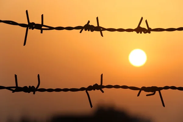 Solnedgången bakom taggtråd — Stockfoto