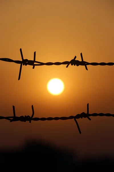Solnedgången bakom ett staket av taggtråd — Stockfoto