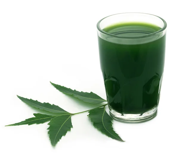 Hojas medicinales de neem con extracto — Foto de Stock