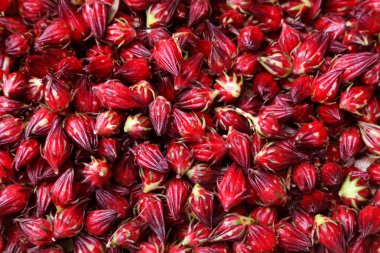 Hibiscus sabdariffa veya roselle meyve
