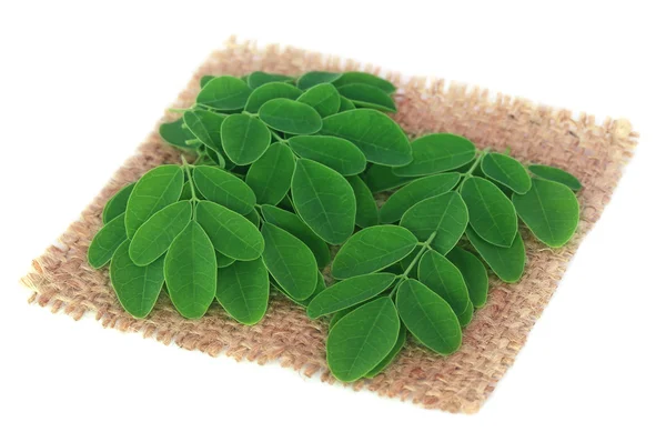 Moringa jedlé listy na povrchu pytel — Stock fotografie