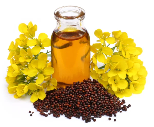 Mustard oil with flower — Stock Photo, Image