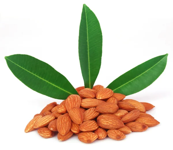 Primer plano de almendras frescas — Foto de Stock