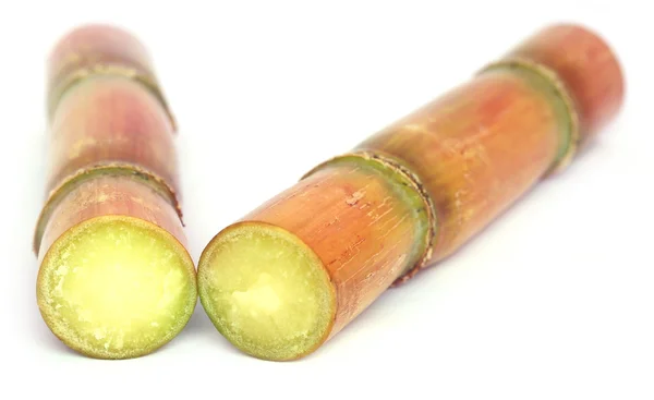 Pedaços de cana-de-açúcar — Fotografia de Stock