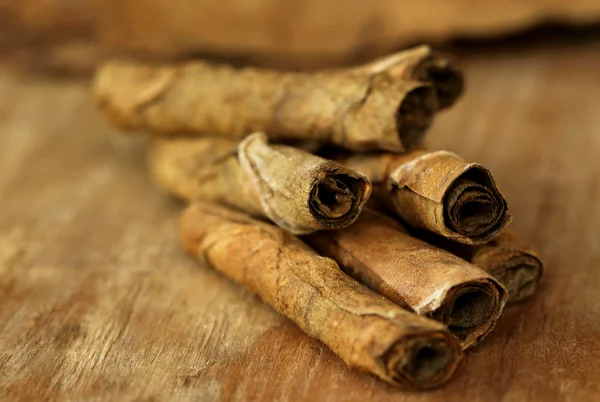 Droge tabaksbladeren — Stockfoto