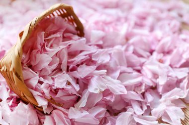 Pink Cherry patels collectd in a bowl 
