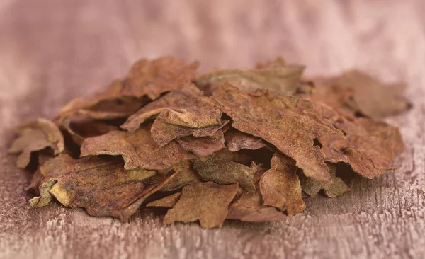 Kuru tütün yaprakları — Stok fotoğraf